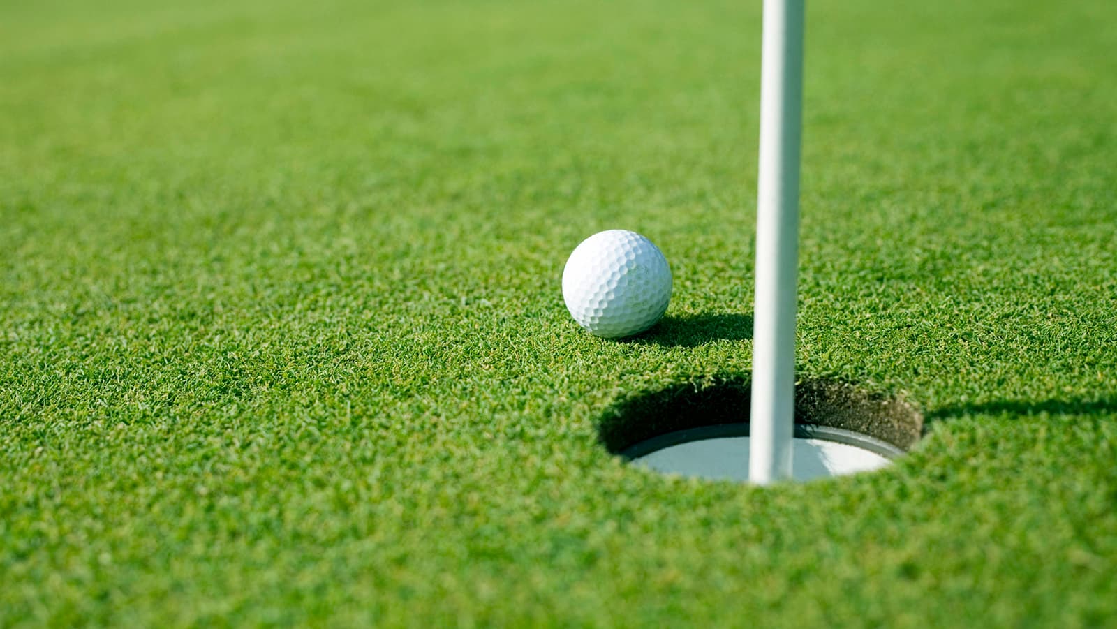 Renovación integral de greens